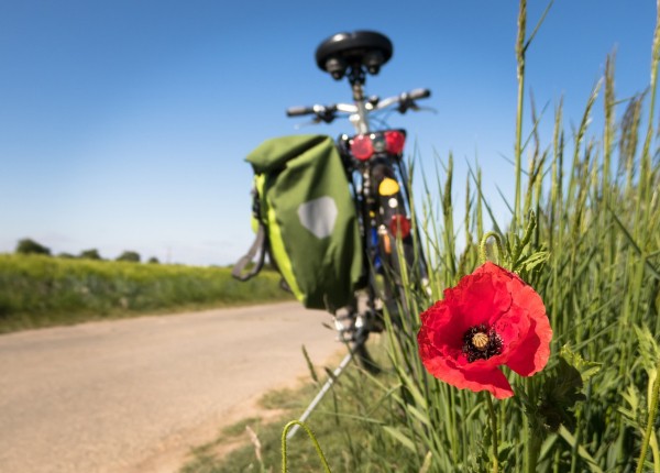 fiets.jpg